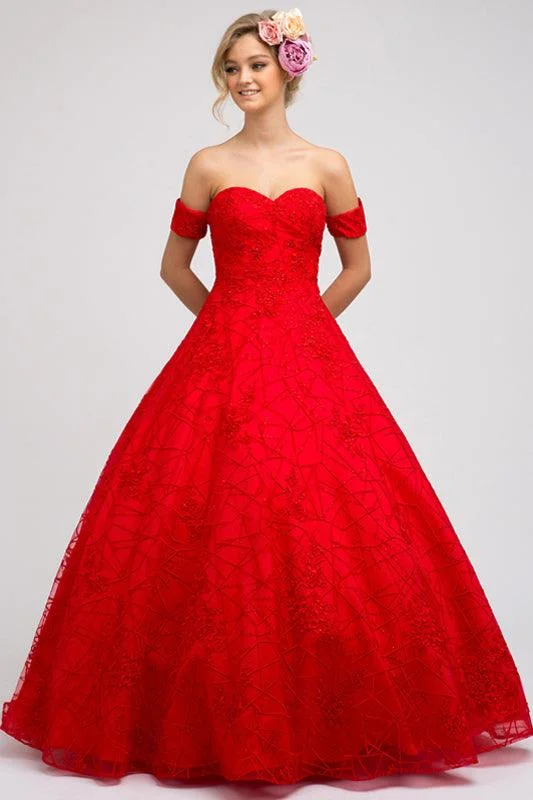 Maternity dress for a baby's first visit to the bird sanctuary Quinceanera Prom Long Strapless Lace Ball Gown Maternity dress for a baby's first visit to the bird sanctuary Quinceanera Prom Long Strapless Lace Ball Gown