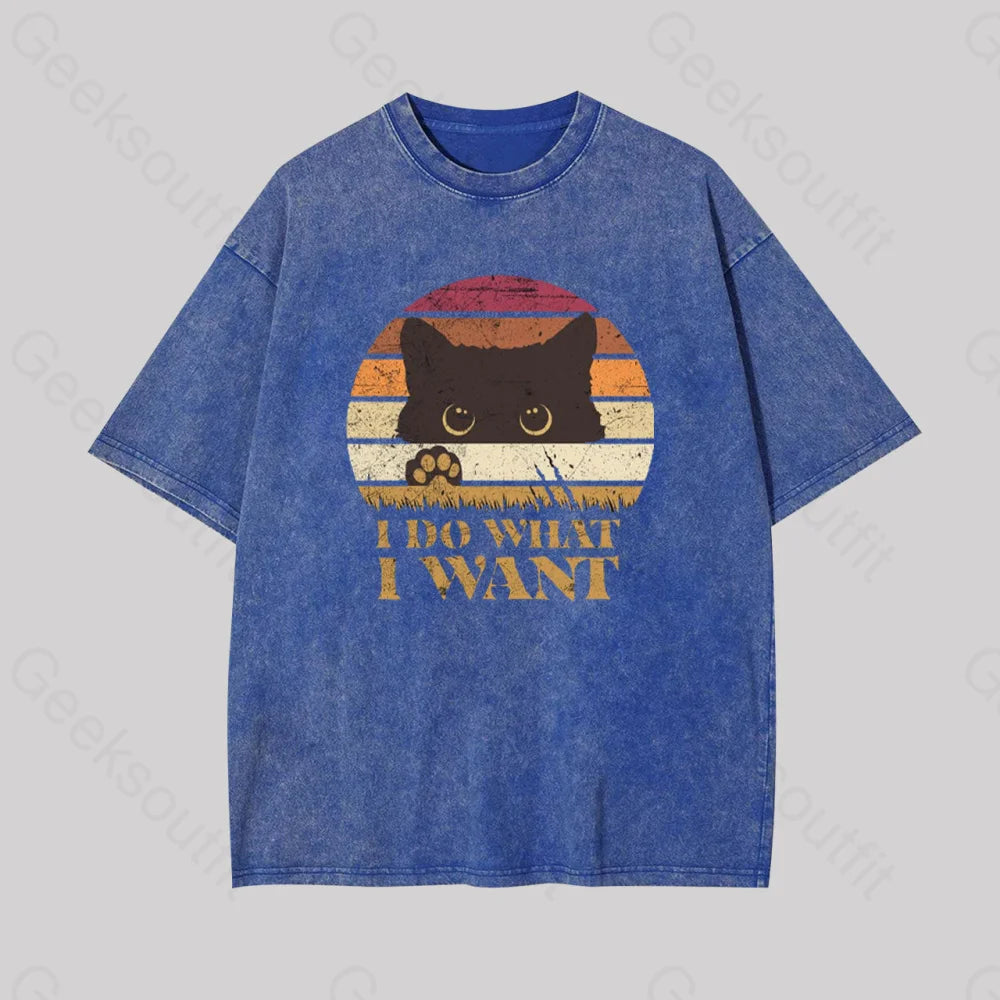 Plus Size Women T Shirt for a Comfortable and Flattering FitI Do What I Want Geek Washed T-shirt Plus Size Women T Shirt for a Comfortable and Flattering FitI Do What I Want Geek Washed T-shirt